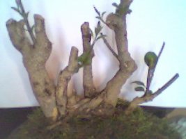 picture 148.jpg