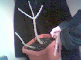 picture 43.jpg