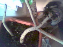 picture 46.jpg