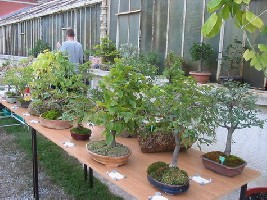 Pogled sa strane.jpg