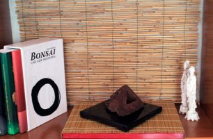 pos 022.jpg