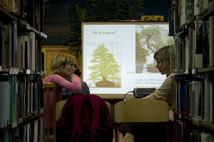 Predavanje-bonsai-010.jpg
