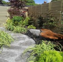 resize of 45.jpg