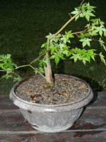 resize of dscn5525.jpg