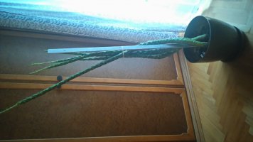 rsz_dsc_0015.jpg