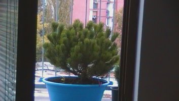sam_0230.jpg