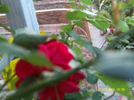 sdc12021.jpg