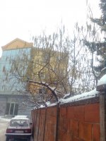 slika0106.jpg