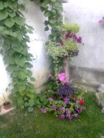 slika0168.jpg