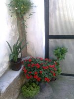 slika0178.jpg