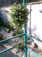 slika0213.jpg