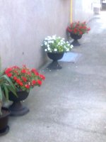 slika0220.jpg