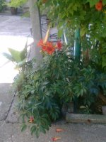 slika0222.jpg