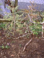 Slike Olympus 003.jpg