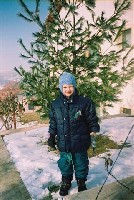 svileni bor.JPG