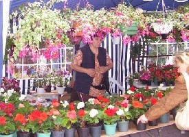 t_100_0192.jpg