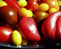 Tomato Mix.JPG