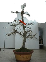Untitled-1.jpg