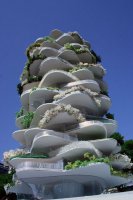 urban-cactus-header.jpg