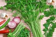 Na dnu ove stranice mozete pogledati ostale moje oglase.Kupovinom od jednog prodavca stedite na postarini..

Ima jako nazubljene, sjajne i aromatične listiće. Upotrebljava se kao peršun, iako ima ukus celera: za salate, supe, variva, umake. Listove upotrebljavamo sveže ili osušene, koji odlično održavaju aromu. Nezahtevan zalčin, primeran za svaki povrtnjak.

Setva: .Najbolje je sejati u periodu april-maj, na otvorenom,Rastojanje treba da bude oko 10cm, a razmak do 40 cm.Seme celera inače malo teže bubri i klija pa je dobro da se pre setve potopi u vodu na temperauri odoko 20°C,
U zatvorenom prostoru od Januara do Marta na temperaturi preko 18°C, seme sejati po površini supstrata i blago utisnuti. Prekriti najlonom ili providnim poklopcem , ukloniti isti kada seme isklija. Zalivati umereno koliko da ima vlažnost za klijanje,Niče za 15-20 dana Kada biljka dostigne visinu od 15 do 20 centimetara, spremna je za presađivanje.Biljke preasadjivati na otvorenom kada prodje opasnost od mraza,Pre ne go što presadite sadnice na otvoreno, morate da ih navikavate na spoljne uslove 7-10 dana, odnosno da ih po malo iznosite, svakog dana sve duže i duže.Celeru je neophodno 5-7 sati direktno sunca svakog dana.. .Plod se bere od avgusta do kraja oktobra...

Prodaje se 40-50 semena