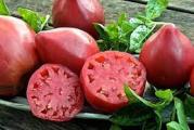 Na dnu ove stranice mozete pogledati ostale moje oglase,Kupovinom od jednog prodavca stedite na postarini..

Ovo je stara domaca sorta paradajza Volovsko srce Roze,Crveno i Jabucar paradajza,greskom je doslo do mesavine semena,zato se u miksu i prodaje inace sorte paradajza su veoma stare i ukusne,mesnate posebno volovsko srce koje je tezilo i do 800 grama po plodu,sa ne bas puno semena jer je prekriveno debelim mesom.Jabucar je tezine oko120gr lepe crvene boje malo spljosten,odlicnog ukusa i finog roda.Ovaj paradajz je pogodan za gajenje na otvorenom gde daje odlicne rezultate i veoma kvalitetne i ukusne plodove.Biljka je visoka i do 2 metara,Obavezan je oslonac(kolac).


Seje(dubina 0.5-1cm) u februaru - mart u tople leje, a u april-maj se rasadi na otvorenom.
Rasadjivanje obavlja se po prestanku opasnosti od mraza. To je kraj aprila i prva polovina maja. Visoke sorte rasađuju se na razmak 80×40-50cm. Biljke se spuštaju u zemljište do prvog lista.Proizvodnja direktnom setvom semena,Optimalno vreme setve u našim klimatskim uslovima je od 10. do 20. aprila. Biljka niče krajem aprila i početkom maja kada je rizik od pojave kasnih prolećnih mrazeva mali. Setva se obavlja u redove na razmak 70 x 30cm ili dvorede trake 100-120×30-50cm.Dubina setve je 1-2 cm..


Prodaje se 5 semena