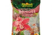 Zemlja Floria za orhideje 3L – kvalitetni substrat za orhideje
Zemlja Floria za orhideje 3L je specijalna zemlja za orhideje je namenjena za sejanje i presađivanje svih vrsta orhideja i drugih epifitnih biljaka (bromelija, ananas, guzmanija). Predstavlja mešavinu treseta, kore drveta  i kokosovog treseta. Ovaj sirovinski sastav obezbeđuje idealnu strukturu i optimalnu vodopropustljivost. Supstrat je obogaćen mešavinom đubriva: NPK i đubrivom za dugotrajno delovanje Osmocote.

Orhidejama je potreban supstrat koji simuliše prirodne uslove
Orhideje su poznate po tome što rastu na kori drveta. Iako rastu kao paraziti, vezujući se korenom za stablo druge vrste orhideje to zapravo i nisu. One sve nutrijente i hranljive materije crpe iz vazduha i putem kiše. Time ne oštećuju biljku domaćina i ne mogu se smatrati parazitskim biljkama. Poput prirodnog staništa orrhideja, Substral je u svoju mešavinu za orhideje ubacio kokosov treset, kao i osnovnu podlogu – koru drveta.

Kora drveta kao zamena za prirodno stanište orhideja
Zbog kore drveta koja čini sastavni deo Substralove zemlje za orhideje, ove cvetnice stvaraju utisak da rastu u prirodnom okruženju i ova podloga im izuzetno odgovara. Takođe uz Zemlja Substral za orhideje možete dodati i ćumur u količini od oko 10% jer je poznato da on ima pozitivna dejstva na rast i razvoj orhideja. Ovaj supstrat takođe možete mešati i sa glinenim kuglicama, kao i sa drugim supstratima koji utiču na poboljšanje vodno vazdušnog režima zemljišta.

Sastav Zemlja Floria za orhideje 3L
Sastav: Treset (50%); Kora drveta (50%);
Zapremina: 3L

Ukoliko imate bilo kakvih pitanja vezanih za ovaj proizvod kontaktirajte nas. Naš tim stručnjaka vrlo rado će Vam odgovoriti na pitanja i preporučiti Vam proizvod iz naše široke ponude.