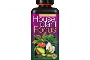 Houseplant Focus 300ml – prihrana za sobne biljke
Houseplant Focus 300ml je specijalno dizajnirano tečno đubrivo za prihranu sobnih biljaka. Uspešno se pokazalo i kod lisno dekorativnih sobnih vrsta kao i kod cvetajućih sobnih biljaka. Dodavanjem  Houseplant Focus prihrane budite sigurni da će vam vaše sobne biljke biti zahvalne.

Šta je Houseplant Focus 300ml i za čega je namenjen?
Houseplant Focus 300ml prestavlja tečno mineralno đubrivo sa formulacijom koja je posebno dizajnirana da pogoduje rastu i razvoju svih sobnih biljaka. Kompletna prihrana Housplant Focus pogodna je i za cvetnice i za lisne biljke poput Monstera deliciosa. Doziranje i način primene razlikuju se od biljke do biljke, ali se sve svodi na univerzalnu formulaciju.

Sobne biljke koje se gaje u kućnim uslovima, kancelarijama i poslovnim prostorima često nemaju dobre uslove za rast i razvoj. Dešava se da u glavnom nemaju dovoljno svetla, da je vazduh suv ili previše vlažan. U kancelarijama problem su klime koje leti hlade prostorije i centralni sistem grejanja koji zimi isušuje vazduh. Sa Houseplant Focus 100ml jedan segment će svakako biti upotpunjen – a to je pravilna ishrana Vaših sobnih biljaka.

Formulacija Houseplant Focus tečne prihrane sobne biljke
Formulacija preparata Houseplant Focus za sve vrste sobnih biljaka specijalno je dizajnirana i ispitivana duži vremenski period na različitim vrstama sobnih biljaka u staklenicima kompanije Growth Technology Ltd. Rezultat ovih ispitivanja je proizvod Housplant Focus.

Pored Azota (N), Fosrora (P) i Kalijuma (K) neophodnih za rast i razvoj biljaka, formulacija Houseplant Focus 300ml sadrži i humiske i fulvinske organske kiseline. Ove organske kiseline doprinose vodno vazdušnom režimu zemljišta u kom se gaje sobne biljke. Potpomažu razgradnju i lakše uzvajanje hranljivih materija iz zemljišta u organizam biljke.

Kako se koristi Houseplant Focus tečna prihrana za sobne biljke?
Po proizvođačkoj spec