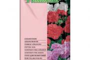 Zemlja Florabella za muškatle 40L je višenamenski supstrat nemačkog proizvođača Klasmann-Deilmann za gajenje muškatli, Geranium, Fuchsia i drugih cvetajućih balkonskih vrsta. Kompanija Klasmann mukotrpno je radila na proizvodnji ovog supstrata jer je postojala konstantna potreba za univerzalnom zemljom za sve cvetnice poput muškatli – jednog od najrasprostranjenijih ukrasa balkona širom sveta. Preporučuje se za saksije i žardinjere. Mešavina je slabo dekompostiranog belog sphagnum treseta, visoko kvalitetnog smrznutog crnog sphagnum treseta i glinenih granula. Sadrži vodotopivo đubrivo, kompost i vlakna drveta. Florabella je nesumnjivo izvor broj jedan svakog ljubitelja sobnog bilja i cveća.
Pročitajte više na www.dendrolog.rs