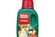 Substral za citruse 250ml – Univerzalna prihrana za sve vrste citrusa i citrusnih biljaka
Substral za citruse predstavlja univerzalno tečno đubrivo za sve vrste citrusa i citrusnih biljaka. Sastoji se od balansiranog odnosa NPK đubriva uz dodatak huminskih kiselina i mikroelemenata.

Da li je prihrana neophodna citrusima?
Substral za citruse pogodan je da se koristi kao dodatna prihrana kao i prilikom svakog zalivanja u periodu intenzivnog rasta i razvoja kao i cvetanja citrusa. Može se koristiti kod svih varijeteta i vrsta citrusnih biljaka i citrusa.

Najbolji rezultati u kombinaciji sa substral zemljom za citruse
Najbolje rezultate Substral za citruse 250ml postiže u kombinaciji sa Substral zemljom za citruse 3L. Balansirani odnos prihrane u zemlji i tečnog đubriva obezbeđuje najpravilniji rast i razvoj citrusa.

Specifikacije
Zapremina: 250ml

Upotreba: Citrusne biljke i citrusi

Zemlja porekla: EU