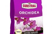 Zemlja Substral za orhideje 3L – kvalitetni substrat za orhideje
Zemlja Substral za orhideje 3L je specijalna zemlja za orhideje je namenjena za sejanje i presađivanje svih vrsta orhideja i drugih epifitnih biljaka (bromelija, ananas, guzmanija). Predstavlja mešavinu treseta, kore drveta  i kokosovog treseta. Ovaj sirovinski sastav obezbeđuje idealnu strukturu i optimalnu vodopropustljivost. Supstrat je obogaćen mešavinom đubriva: NPK i đubrivom za dugotrajno delovanje Osmocote.

Orhidejama je potreban supstrat koji simuliše prirodne uslove
Orhideje su poznate po tome što rastu na kori drveta. Iako rastu kao paraziti, vezujući se korenom za stablo druge vrste orhideje to zapravo i nisu. One sve nutrijente i hranljive materije crpe iz vazduha i putem kiše. Time ne oštećuju biljku domaćina i ne mogu se smatrati parazitskim biljkama. Poput prirodnog staništa orrhideja, Substral je u svoju mešavinu za orhideje ubacio kokosov treset, kao i osnovnu podlogu – koru drveta.

Kora drveta kao zamena za prirodno stanište orhideja
Zbog kore drveta koja čini sastavni deo Substralove zemlje za orhideje, ove cvetnice stvaraju utisak da rastu u prirodnom okruženju i ova podloga im izuzetno odgovara. Takođe uz Zemlja Substral za orhideje možete dodati i ćumur u količini od oko 10% jer je poznato da on ima pozitivna dejstva na rast i razvoj orhideja. Ovaj supstrat takođe možete mešati i sa glinenim kuglicama, kao i sa drugim supstratima koji utiču na poboljšanje vodno vazdušnog režima zemljišta.

Sastav Zemlja Substral za orhideje 3L
Sastav: Treset (45%); Kora drveta (35%); Kokosov treset (20%)
Đubrivo:NPK i Osmocote
Zapremina: 3L