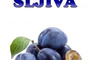 Nova knjiga - monografija "ŠLJIVA". 
Autor: prof. dr Dragan Milatović. 
531 stranica (sa reklamama 568), tvrd povez, sve stranice u boji. 

Knjiga obuhvata sledeća poglavlja:
1. ZNAČAJ, POREKLO I RASPROSTRANJENOST ŠLJIVE
2. BIOLOGIJA I EKOLOGIJA ŠLJIVE
3. OPLEMENJIVANJE I SORTE ŠLJIVE
	Opisane su 84 sorte šljive (evropske, kinesko-japanske, rakijske i džanarike)
4. PODLOGE ZA ŠLJIVU I PROIZVODNJA SADNICA
5. TEHNOLOGIJA GAJENJA ŠLJIVE
	Podizanje zasada šljive
	Rezidba i uzgojni oblici šljive
	Održavanje zemljišta u zasadu šljive
	Mineralna ishrana šljive
	Navodnjavanje zasada šljive
	Biljni bioregulatori u proizvodnji šljive
	Zaštita šljive od nepovoljnih biotičkih i abiotičkih činilaca
6. ZAŠTITA ŠLJIVE OD PROUZROKOVAČA BOLESTI I ŠTETOČINA
7. ORGANSKA PROIZVODNJA ŠLJIVE
8. BERBA, ČUVANJE I PRERADA ŠLJIVE
