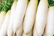 Popularna japanska rotkvica tipa daikon koja ima dugačak, beli suženi koren. Blagog je ukusa koji je odličan za orijentalna jela. Dostiže 40 cm (16 in) dužine i 6 cm (2½ in) u prečniku i težine do 1,75 lbs.
Koreni se mogu ubrati nakon prvih blagih mrazeva bez većih oštećenja i lepo čuvati u podrumu za korenje ili direktno u frižideru. Narežite ih za pomfrit i salate, kuvanje ili kiseljenje.

Minovase je najbolja sorta rotkvice za letnju setvu do jesenje žetve. Seje se od sredine juna do sredine jula, može se brati tokom hladnijeg vremena krajem avgusta ili septembra.
Otporan na virus mozaika, fuzarijum, sa dobrom otpornošću na toplotu i umerenom otpornošću na zavrtnje, odličan je kvalitet kako za sveže tržište tako i za kućnu baštu. Posadite mali usev svake dve nedelje da biste garantovali kontinuiranu žetvu.

Pripremite sajt:
Rotkvice preferiraju običnu baštensku zemlju. Zemljište treba obrađivati do dubine od najmanje 20 cm (8 inča) da bi koreni bili lepi i ravni, glatki, itd. Nemojte koristiti sirovo ili sveže đubrivo na ovom usevu ili će brzo da se seme. Manji uzgajivači treba da razmotre podignute krevete. Rotkvice mogu da podnesu malo senke, posebno ako temperature rastu, ali im je potrebno nekoliko sati direktnog sunca da bi se u potpunosti razvile.

Setva:
Seme posejte direktno u kasno proleće do leta nakon poslednjeg mraza na toplom, sunčanom mestu. Seje se od sredine juna do sredine jula, može se brati tokom hladnijeg vremena krajem avgusta ili septembra. Seme klija za 5 do 7 dana na 4 do 21°C (40 do 70°F). Napravite uzastopne sadnje, najmanje tri setve u razmaku od nekoliko dana.
Sejte na otvorenom u potopljenu bušilicu dubine 2 do 2,5 cm (1 in), u redove na udaljenosti od 25 cm (9 in) u redovima od 45 do 60 cm (18 do 24 in). Napunite tlo oko stabljike dok sadnica raste. Daikon tipovi imaju tendenciju da rastu iz zemlje dok sazrevaju, što uzrokuje razvoj zelenih ramena. 