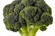 Brokoli pripada porodici kupusnjača (Brassicaceae). U 100 g glavica sadrži, 87-91 g vode, 3-4 g sirovih belančevina, 4-6 g ugljenih hidrata. Ima visok sadržaj karotena pa joj zbog vrednih sastojaka pripusuju antikancerogena svojstva. Koren brokolija sličan je korenu ostalih kupusnjača, stabljika visine 100 cm, listovi su na srednje dugim peteljkama sivozelene do plavičastozelene boje. Na vrhu stabljike formira se zbijena cvet s cvetnim pupoljcima zelene, ljubičaste, žute ili bele boje. Ako se ne ubere pravovremeno, grane se izdužuju pa brokoli gubi tehnološku vrednost.
Temperatura
Optimalna temperatura za rast i razvoj brokolija je od 14-19 °C. Da bi formirao cvet, brokoli mora proći određeno razdoblje niskih temperatura nižih od 10 °C. U suprotnom ako su više temperature bilo u jesenjem gajenju ili u prolećnom biljka će formirati jaku lisnu masu i sitnije cvatove. Takođe temperatura iznad 25 °C pogoduje rastresitim cvastima, tj. nisu zbijeni i kompaktni. Stres usled visokih temperatura kao i uz nedovoljnu količinu vode može izazvati žućenje cvetova i jednostavno propadanje.

Voda
Prilikom sadnje biljku je potrebno dobro zalivati. Ako su temperature dosta visoke potrebno ih je prvih dana zalivati svaki dan. Redovno se mora prihranjivati mineralnim đubrivom.

Zemljište
Brokoli ima manje zahteve u pogledu zemljišta i klime u odnosu na druge kupusnjače. Zemljište treba biti slabo kiselo do neutralno (pH 6.0-6.5) i dobro drenirano jer brokoli ne podnosi višak vode.