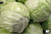 U DNU OVE STRANE SU SVI MOJI OGLASI - KUPOVINOM OD JEDNOG PRODAVCA USTEDECETE NA POSTARINI 

Vec svima dobro poznata sorta koja zaista vredi imati u basti, pa vam toplo preporucujem. 

Juna meseca se pravi rasad, a na na otvorenom se rasadjuje jula meseca tako da za berbu stize oktobra-novembra meseca.

Prodaje se 30+ semena