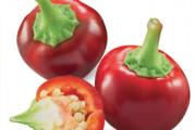 CHERRY spada u grupu srednje ljutih paprika.Plodovi su intenzivno crvene boje,prečnika 2 cm.Može se koristiti kako za svežu upotrebu,tako i za sušenje.

Skala SKOVILA(ljutine): 40.000