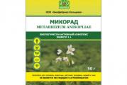 Biološki aktivni kompleks insekto 1.1
Protiv štetočina u zemlji: žičara, zlatice, skakavaca, puževa.