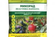 MICORAD INSEKTO 1.2 JE EKOLOŠKO, PRIRODNO SREDSTVO ZA ZAŠTITU POLJOPRIVREDNIH I HORTIKULTURNIH KULTURA OD ŠTETNIH INSEKATA. ZBOG PRISUSTVA EFIKASNOG SOJA GLJIVE BEAUVERIA BASSIANA U SASTAVU, PREPARAT IMA SPOSOBNOST DA U NAJKRAĆEM MOGUĆEM ROKU ZNAČAJNO SMANJI BROJ POPULACIJA ŠTETOČINA NA ODREĐENOM PODRUČJU I STVORI POVOLJNE USLOVE ZA RAST POLJOPRIVREDNIH I HORTIKULTURNIH KULTURA. SPORE GLJIVE IMAJU SPOSOBNOST DA DUGO ODRŽAVAJU SVOJU AKTIVNOST; INSEKT SE MOŽE ZARAZITI OD DRUGOG ZARAŽENOG INSEKTA.