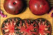 2 izuzetno ukusne, stare sorte paradajza!!!Nije GMO, ni hibrid.20 svezih semenki u pakovanju.*Uz semenke dobijate i uputstvo za sejanje + poklon semenke iznenadjenja*