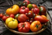 Izuzetno ukusne sorte-provereno!!!Mix velikog broja starih sorti paradajza raznih oblika,velicina i boja.Od sitnih do jako krupnih.Klijavost 82%.Nisu hibridi , ni GMO! 20 semenki u pakovanju.*Uz semenke dobijate i uputstvo za sejanje + poklon semenke iznenadjenja*
