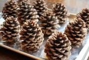 vrlo dekorativne šišarke bora 
mogu se koristiti za razne novogodišnje i božićne dekoracije a i za neke druge svečane prilike 
veličina šišarki je oko 4/5cm 