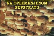 Proizvodnja šiitake na oplemenjenom supstratu - prof. dr Petar Maksimović

Format: 21 cm
Broj strana: 160
Izdavač: Partenon
ISBN: 978-86-7157-471-6
Godina izdanja: 2009
Pismo: Latinica


Šiitake su interesantne kao životne namirnice ali, imaju i značajna lekovita svojstva važna za ljudski rod! Ova publikacija ima za cilj da uz sažeto date pouke pomogne zainteresovanima da se u najkraćim crtama upoznaju sa gljivama šiitake, njihovim zahtevima i načinom gajenja. Predstavljeni su morfološko-biološke osobine i uslovi uspevanja, objekti za gajenje, tehnološke osnove proizvodnje na oplemenjenoj strugotini drveta. U knjizi su preneta i neka iskustva domaćih proizvođača, kao i važnija sredstva za zaštitu gljiva protiv bolesti i štetočina. Šiitake zauzimaju drugo mesto kad se posmatra ukupna proizvodnja gajenih gljiva u svetu što je jasno ako se ima u vidu da su ukusne, hranljive, lekovite ali, i vrlo profitabilne. 