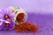  Šafran, ovaj nežni cvet, od kojeg dobijamo najskuplji od svih začina, je višegodišnja do 25 cm visoka lukovičasta biljka. Veoma podseća na prolecni šafran (Crocus vernus L.), samo cveta ujesen. Bledoljubičaste cvetove okružuju uski zeleni listovi, a tučak čine smedjocrvene rese, koje strče iz cveta. Po njima ga već na prvi pogled izdvajamo i od otrovne jesenje mrazove sestrice. Zamena s jesenjom mrazovom sestricom je nemoguća i zato jer ujesen nalazimo u prirodi samo mrazovu sestricu. Pravi šafran je, naime, uzgajana biljka.
Poreklo i rasprostranjenost: Šafran potiče iz zemalja Male Azije, Grčke i Irana. Danas je najkvalitetniji i zato najpoznatiji španski šafran, koji predstavlja čak 90% svetske proizvodnje. Ali, potražnja za skupim šafranom godinama opada.
Karakteristike: Šafran ima karakterističan miris i snažan gorkoslatki ukus. Sadrži 0,4 do 1% eteričnog ulja. Intenzivno crvenu boju daje mu krocin i netopivi krocetin. Šafran sadrži i karotin, vitamin B2, šećer i pektin.
Začin: Kao začin upotrebljavamo osušene cvetne rese tučka. To su 2 do 3 cm duge narandzastocrvene niti.
Upotreba u kuhinji: Danas se upotrebljava šafran pre svega kao prirodna boja, a manje kao začin. Bojimo jela od pirinca, supe, razna testa, pogače i hleb. U nekim delovima britanije poznat je čuveni hleb i pogače od šafrana, francuske riblje supe bouillaboisse, te paelli iz španjolske kuhinje.
U jela ga stavljamo u malim količinama jer je izrazito snažnog ukusa i boje. Najpre ga istopimo u maloj količini vode i tecnost stavljamo u jelo.
Uzgoj: Biljčice puno rastu u dobro dreniranoj ilovači, u umerenom klimatskom pojasu s malo podavina. Sadnica koju kupujete je posadjena u saksiju. Po prijemu paketa biljku treba presaditi u vecu saksiju ili u bastu, jer ne mrzne. Preko zime je zimzelena. Preko let.a nestane nadzemni deo i lukovica miruje u zemlji.

Kupujete jednu lukovicu