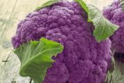 Ljubičasti Karfiol