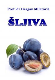 ŠLJIVA