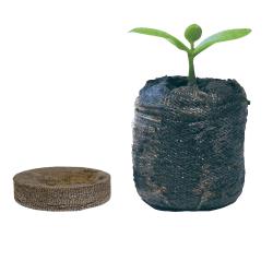 Preparati: Jiffy coco disk tresetne tablete 41mm