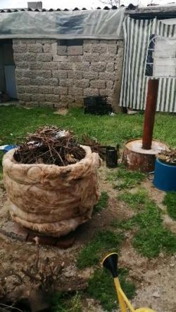 Preparati: Biochar aktivan