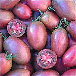 Seme povrća: Paradajz Ruski duguljasti lilavi (30 semenki) plodove do 100gr.