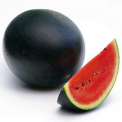 Seme voća: Lubenica Sugar Baby (75 semenki)