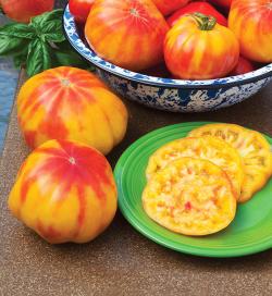 Seme povrća: Paradajz Beefsteak Mr.Stripey (50 semenki)