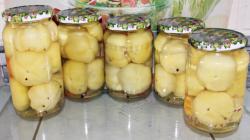 Seme povrća: Paprika slatka zlatna jabuka (300 semenki)
